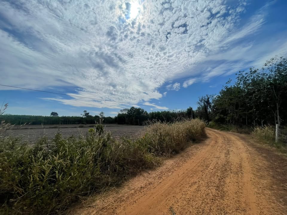 Đất nền Hòa Hiệp, Tân Biên 788m² giá chỉ 290 triệu - Đầu tư sinh lời ngay!