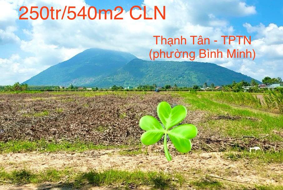 Đất nền Bình Minh Tây Ninh 540m² chỉ 250 triệu - Cơ hội đầu tư tuyệt vời!