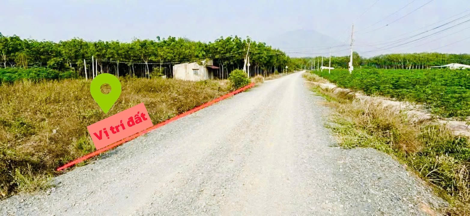 Đất nền Suối Đá Dương Minh Châu 180m² giá 389 triệu - Lô góc hai mặt tiền siêu đẹp!