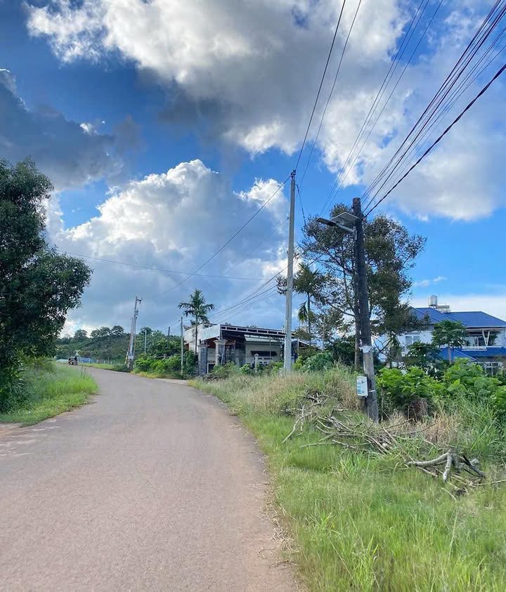 Đất nền mặt tiền đường Nguyễn An Ninh, Bảo Lộc 6800m² - Đầu tư sinh lời lý tưởng!