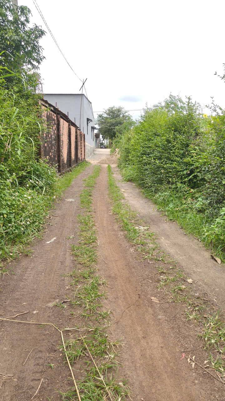 Bán đất Hòa Khánh 140m² giá 560 triệu - Đầu tư sinh lời ngay!