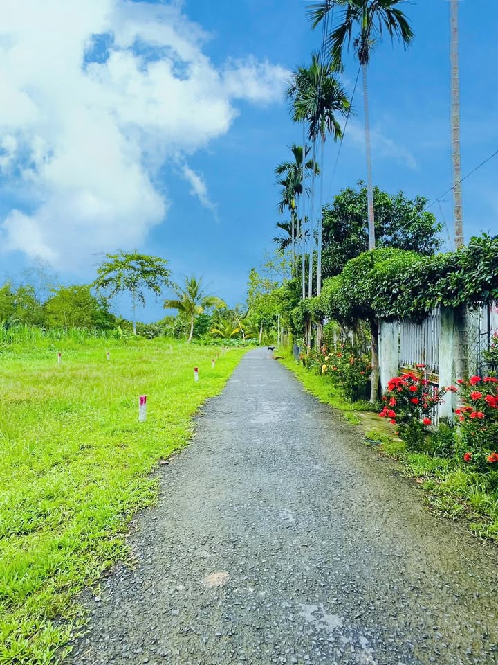 Đất nền Trà Côn Vĩnh Long 95m² giá 200 triệu - Đầu tư sinh lời ngay!