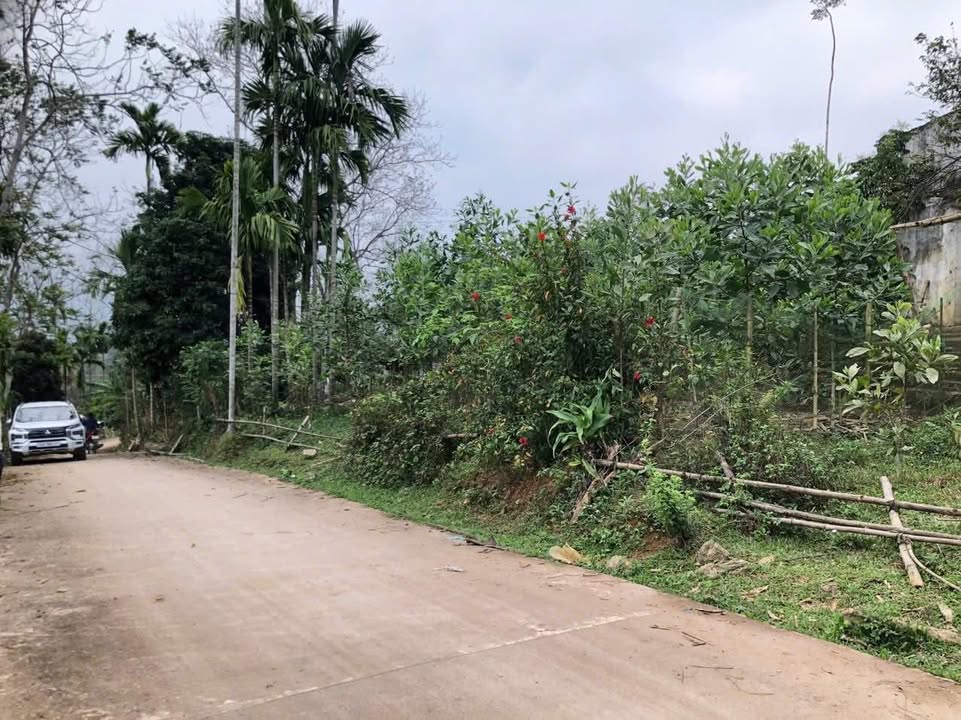 Đất thổ cư 340m² tại Gia Mô, Tân Lạc, Hòa Bình - Giá chỉ 600 triệu!