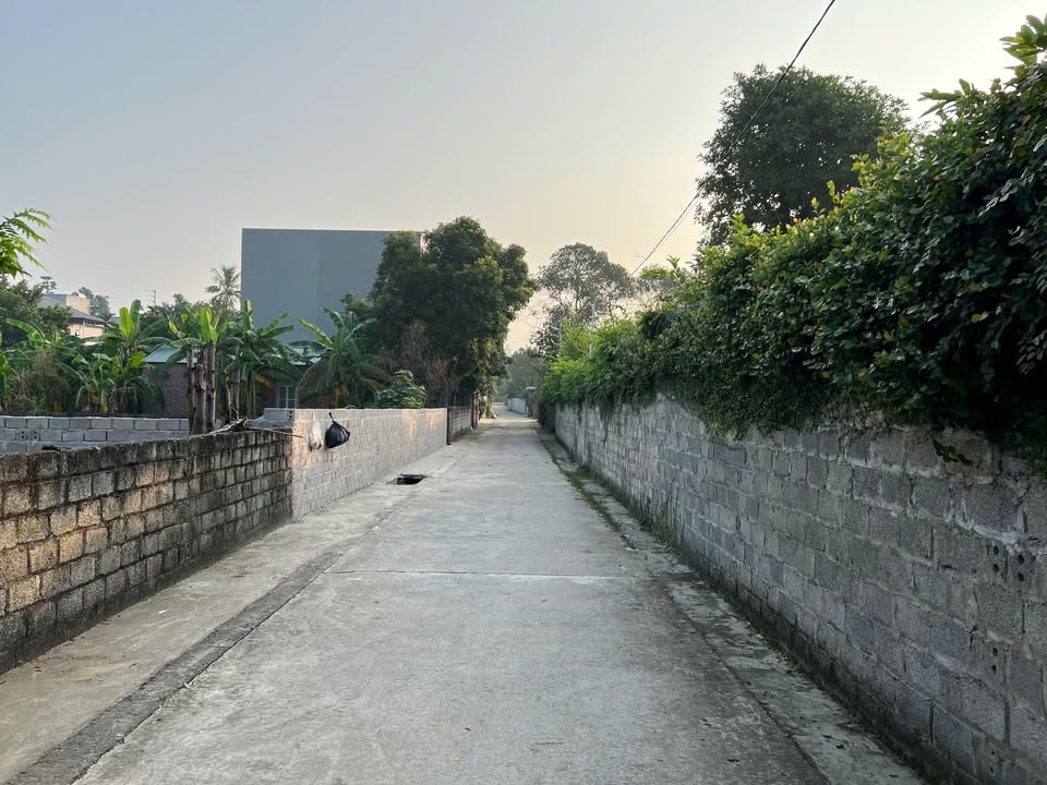 Đất nền 1090m² tại Phú Cát, Quốc Oai - Giá chỉ 10.9 tỷ, đầu tư sinh lời!