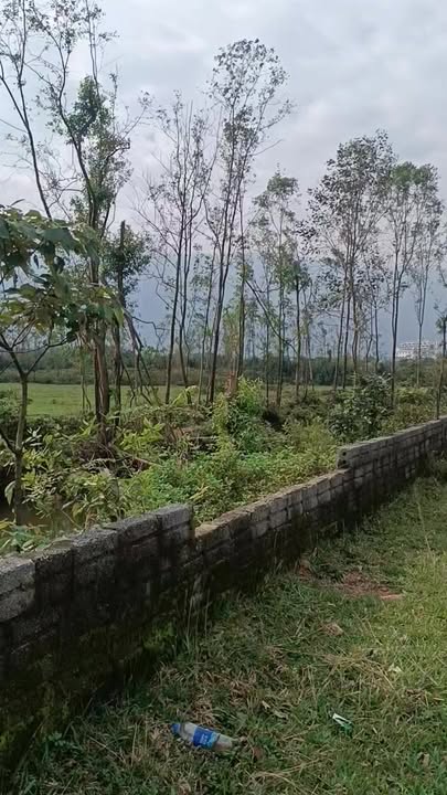 Đất vườn Kỳ Long 16,000m² - Cơ hội đầu tư tiềm năng