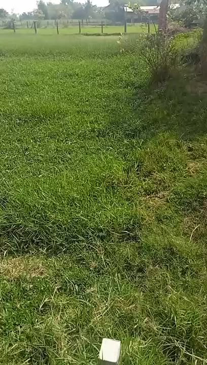 Bán lô đất đẹp 2 mặt tiền đường An Thuận 895m² giá 2.3 tỷ - Đầu tư sinh lời ngay!