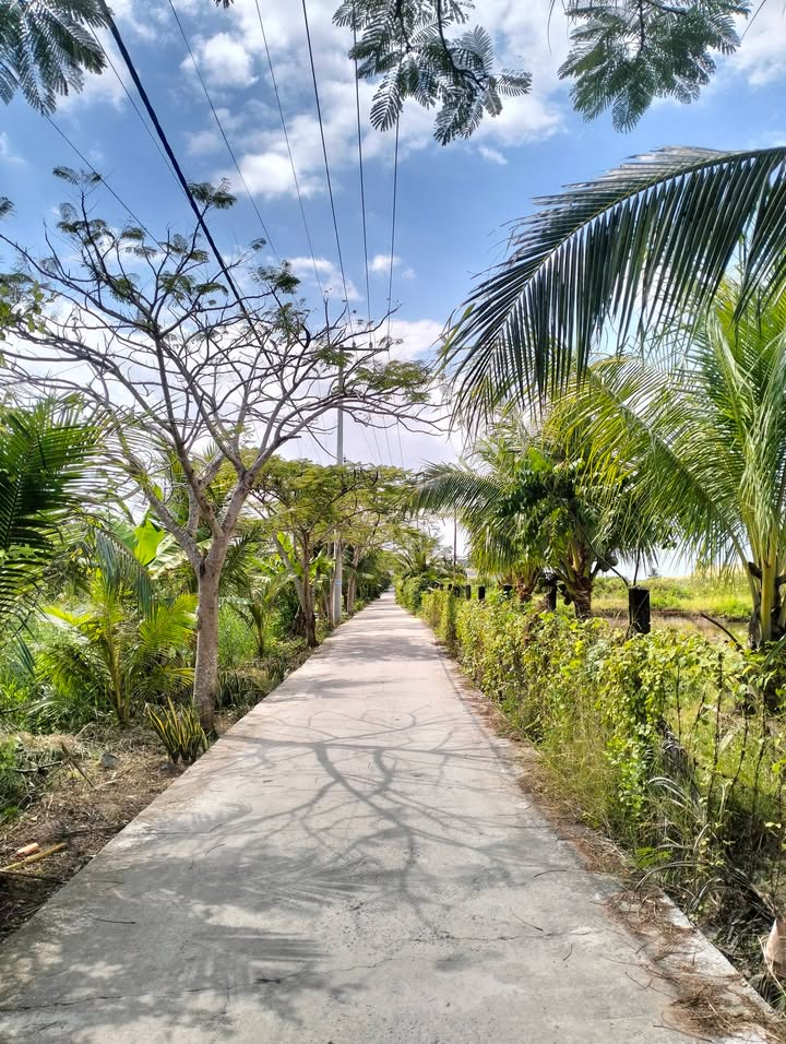 Đất nền Hiệp Thành Bạc Liêu 254m² giá 420 triệu - Sổ đỏ chính chủ, hướng Nam