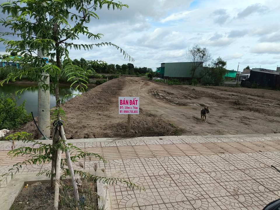 Đất nền Lò Rèn Bạc Liêu 730m² - Tiềm năng kinh doanh lớn