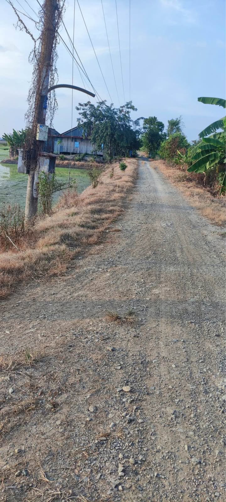 Đất lúa 22.000 m² Thoại Sơn giá 4.18 tỷ - Cơ hội đầu tư tuyệt vời!