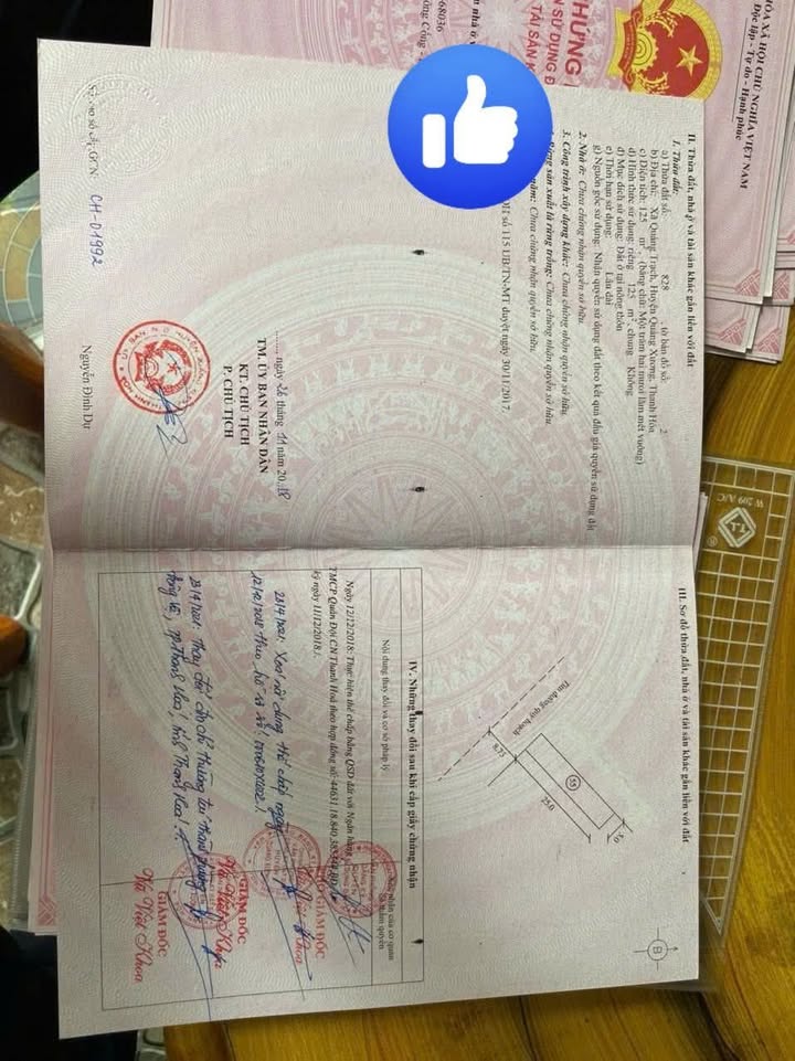 Đất nền 125m² tại Quảng Trạch - Giá chỉ 1 tỷ, cơ hội đầu tư không thể bỏ lỡ!