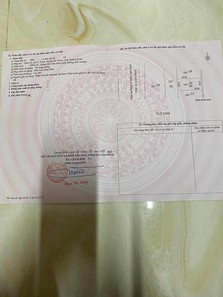 Đất nền mặt tiền đường tránh Lý Trạch 600m² - Tiềm năng kinh doanh lớn!