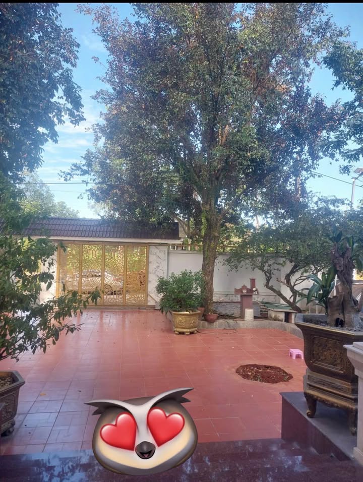 Biệt thự nhà vườn khu phố 5, Đồng Xoài 800m² - Không gian sống lý tưởng!