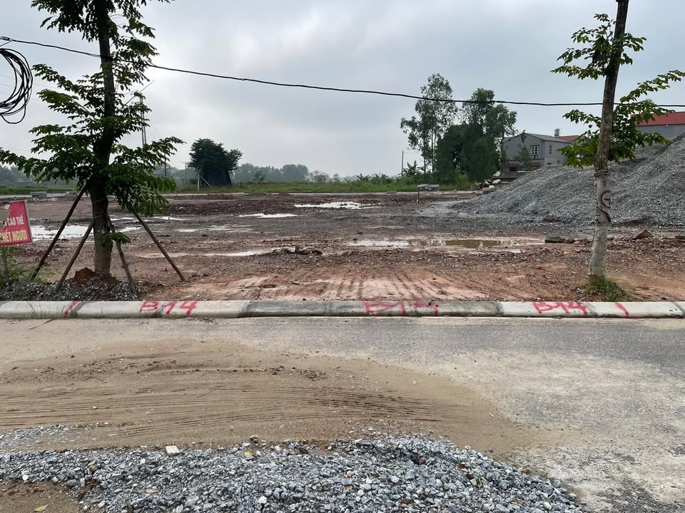 Đất đấu giá 130m² Duy Phiên, Tam Dương, Vĩnh Phúc - Giá 3.2 tỷ, cơ hội đầu tư tuyệt vời!