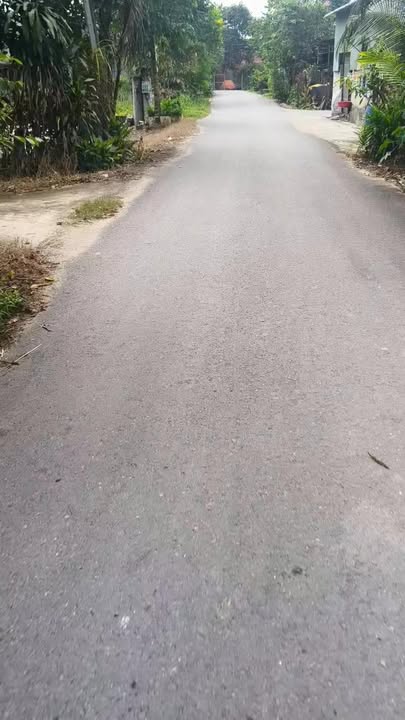 Đất nền xã Mỹ Hạnh Nam 100m² giá 1.3 tỷ - Sổ riêng, vị trí đẹp!