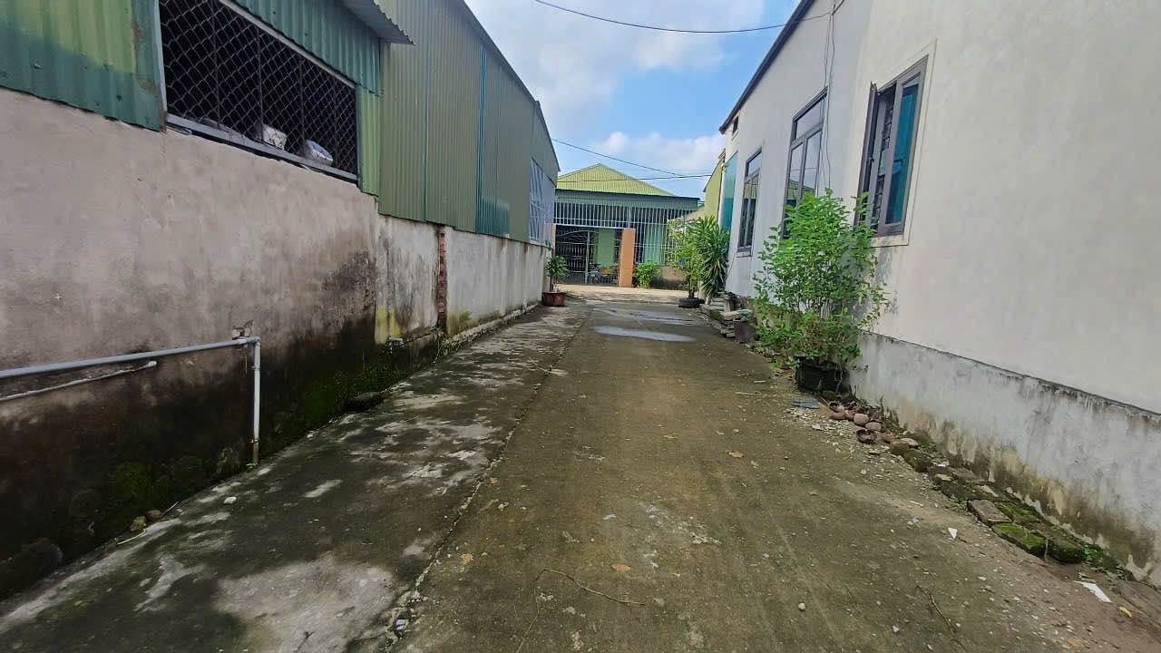 Đất thổ cư Xóm Mỹ Thịnh, Hưng Mỹ 113.2m² giá 1.75 tỷ - Đầu tư sinh lời cao!