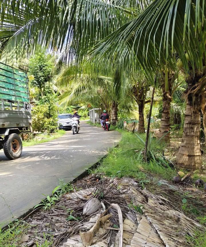 Đất thổ cư Định Thủy, Mỏ Cày Bắc 2300m² giá 900 triệu - Cơ hội đầu tư vàng!