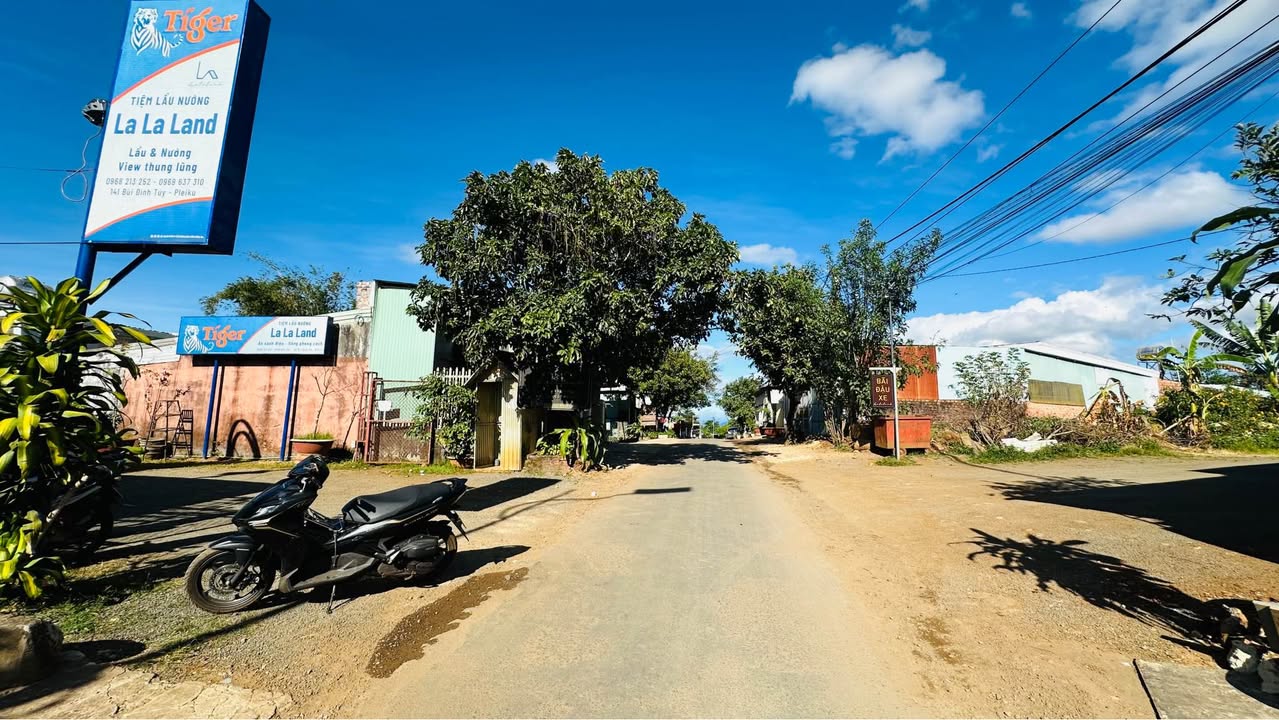 Đất mặt tiền Bùi Đình Túy, phường Hoa Lư, Pleiku 304m² - Giá chỉ 4 tỷ, cơ hội đầu tư tuyệt vời!