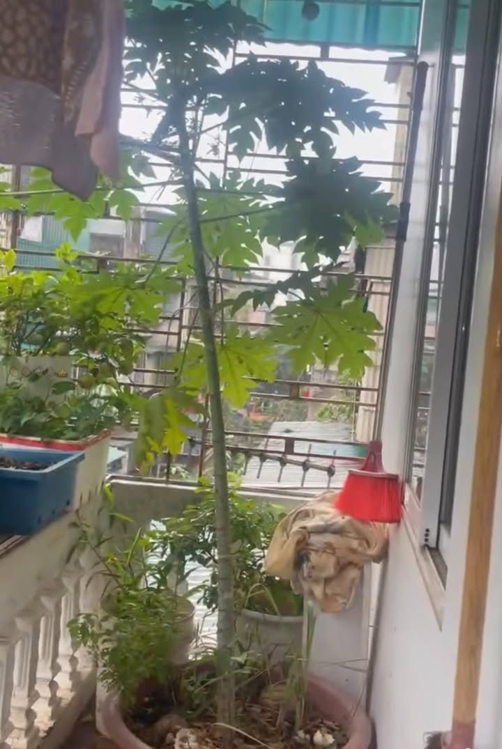 Căn hộ tập thể cho thuê tại Bắc Nghĩa Tân, Cầu Giấy 140m² - Full nội thất, giá 12.5 triệu