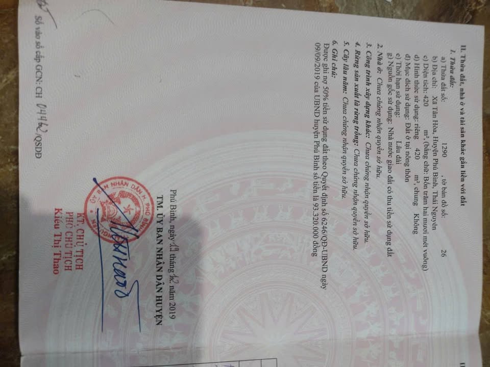 Đất thổ cư Tân Hòa, Phú Bình 600m² - Đường lớn 15m, vị trí đắc địa!