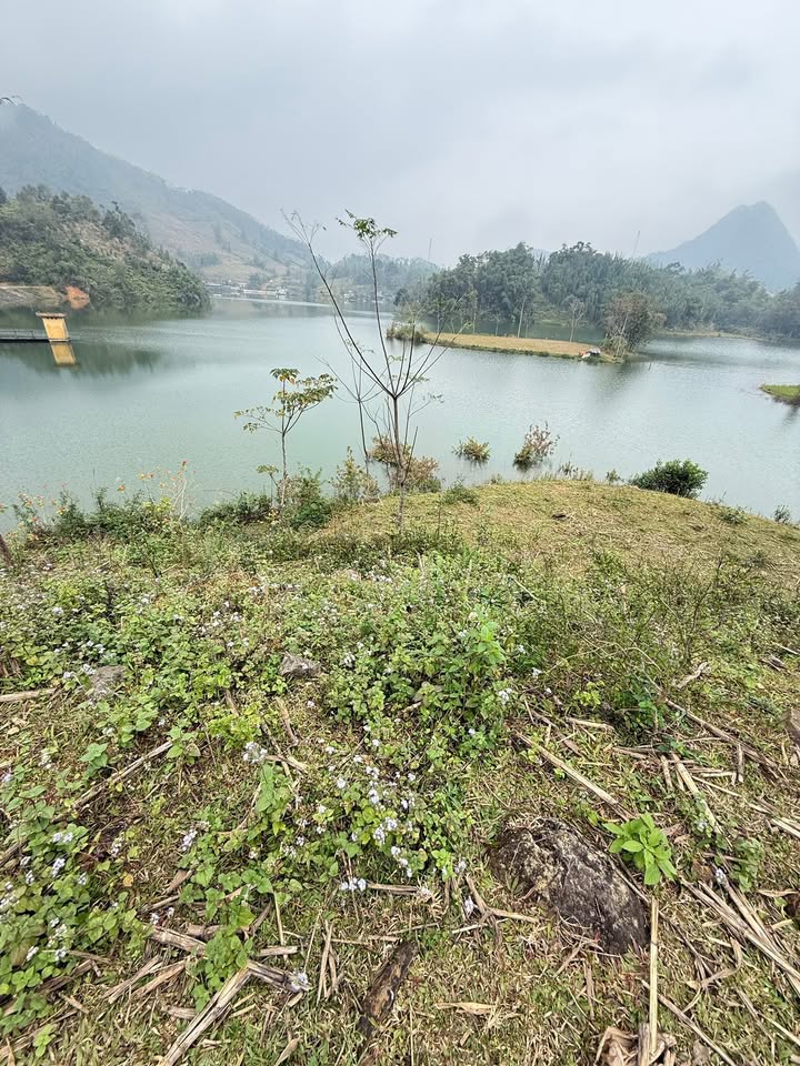 Đất thổ cư 100m² tại Đoàn Kết, Đà Bắc giá chỉ 800 triệu - View hồ tuyệt đẹp!