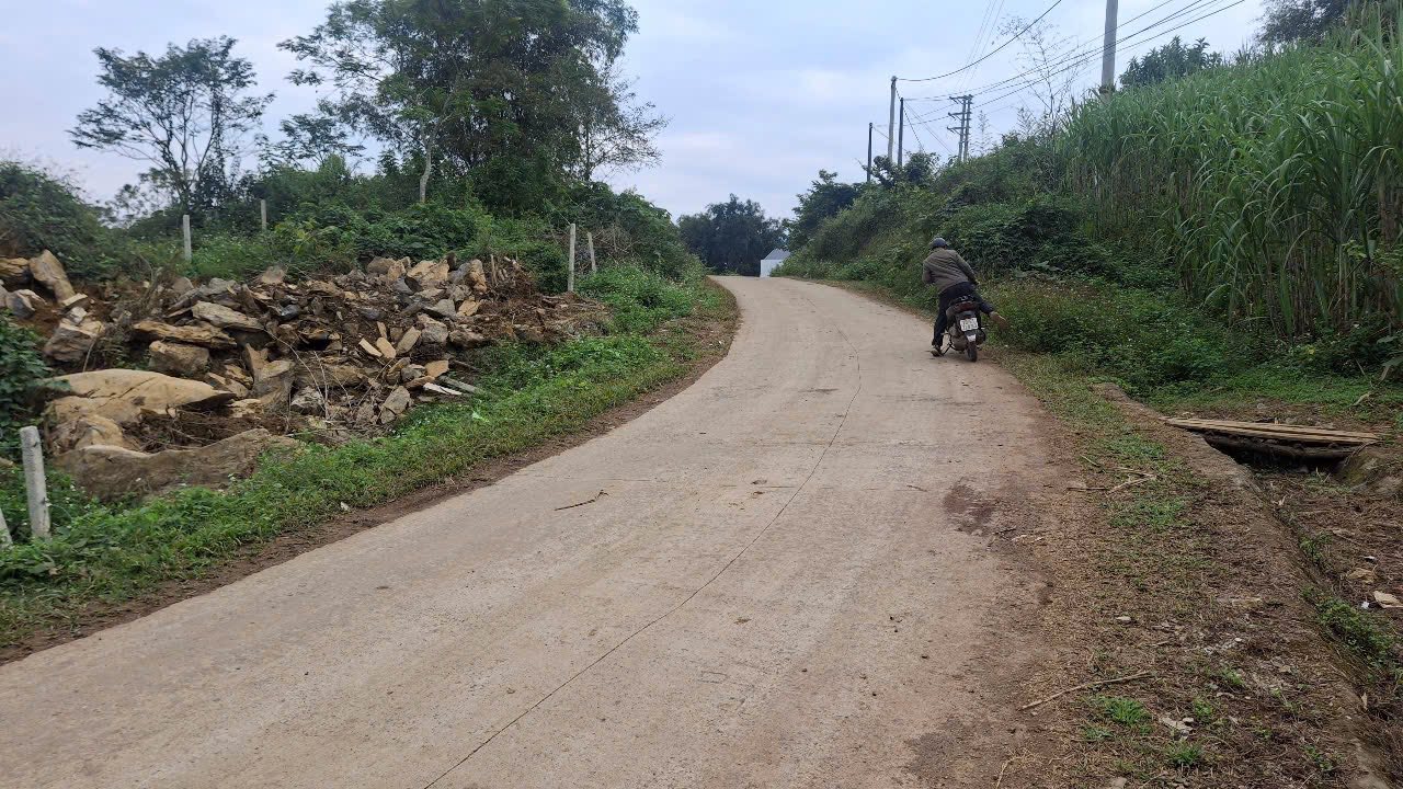 Đất nền Mường Kẻ, Tân Lạc, 336m² chỉ 280 triệu - Đầu tư sinh lời!