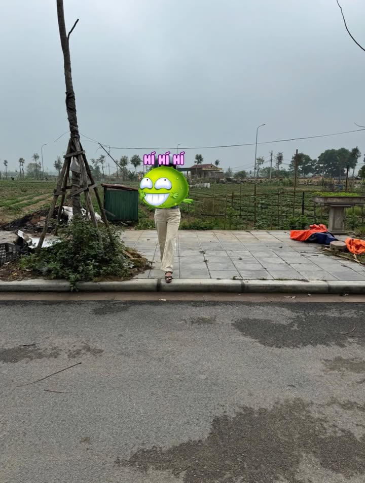 Đất nền Vân Hà Đông Anh 120m² - Cơ hội đầu tư sinh lời hiếm có!