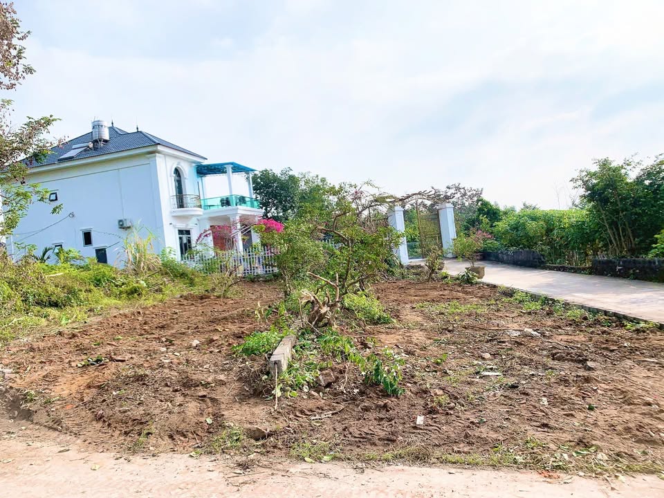 Đất nền Lan Mẫu Lục Nam 110m² giá chỉ 9xx triệu - Vị trí đắc địa, tiện ích đầy đủ!