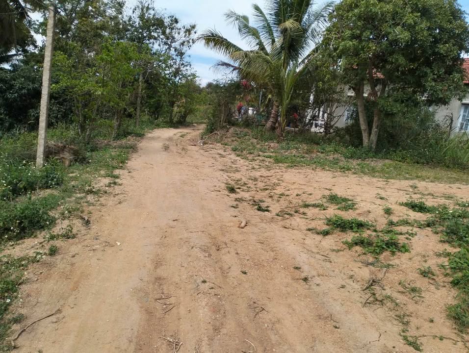 Lô rẫy 3.5 sào tại Ea Đar - Có sẵn 150m² thổ cư, giá thỏa thuận!