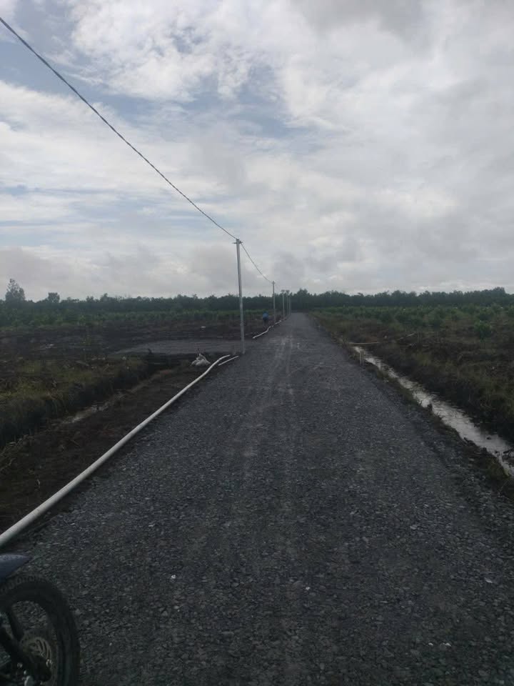 Đất vườn 500m² giá 360 triệu tại Bình Đức - Đường ô tô vào tận nơi!