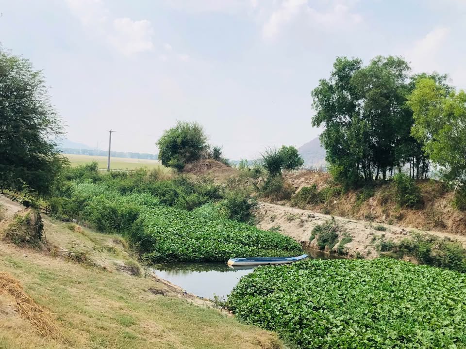 Đất nền phường Tịnh Biên 300m² giá 450 triệu - Sổ đỏ chính chủ