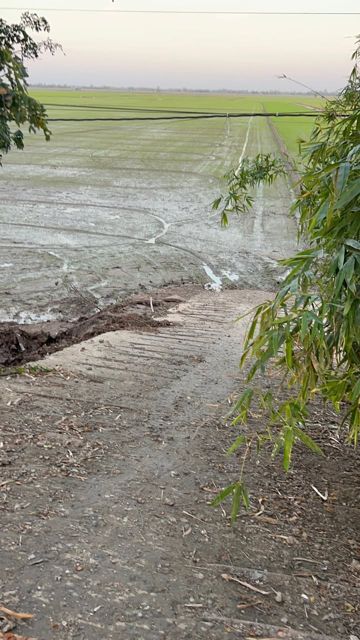 Đất nền mặt tiền đường Dà L Cập tại xã Phú Thành B, 60.000m² - Cơ hội đầu tư tuyệt vời!