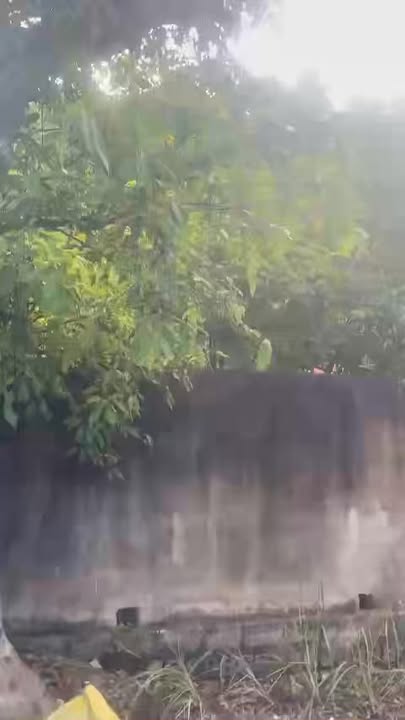 Đất thổ cư 500m² tại Ngõ 207 đường Nam Tiến - Giá hợp lý, chính chủ bán gấp!