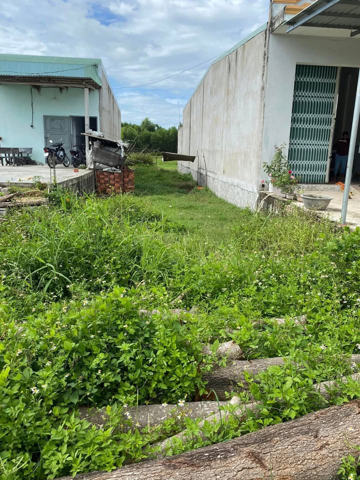 Đất nền chính chủ tại thôn Bình An, xã Phước Thành, huyện Tuy Phước 150m² - Giá thương lượng hấp dẫn!