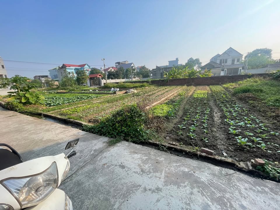 Đất nền Hiền Ninh, Sóc Sơn 100m² - Vị trí đẹp, gần khu công nghiệp!