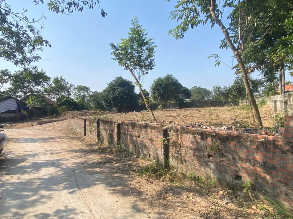 Đất thổ cư 585m² tại Đại Đình - Tam Đảo - Giá 2.5 tỷ - View cánh đồng thoáng mát!