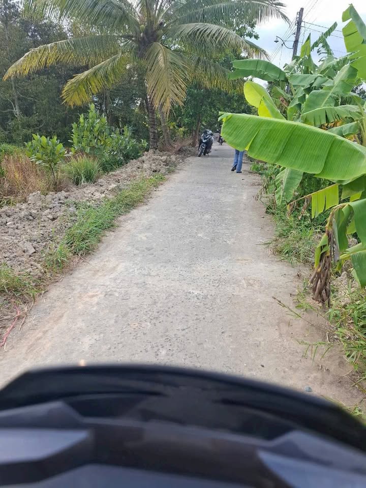 Đất bán Chợ Lách Bến Tre 1.500m² giá 850 triệu - Thương lượng nhẹ!