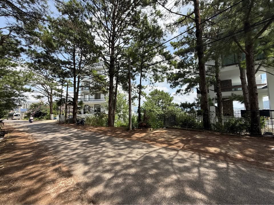 Lô đất mặt tiền đường Trịnh Hoài Đức, Xuân Trường, Đà Lạt 1488m² - View đồi thông tuyệt đẹp!