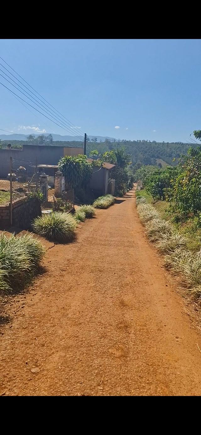 Nhà bán khu phố 7, phường Tân Châu, Di Linh 300m² giá 1.2 tỷ - Sổ hồng chính chủ!