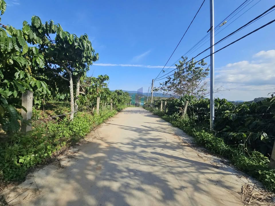 Bán đất Tà Nung, Đà Lạt 14.553m² giá 20 tỷ - Đầu tư sinh lời hấp dẫn!