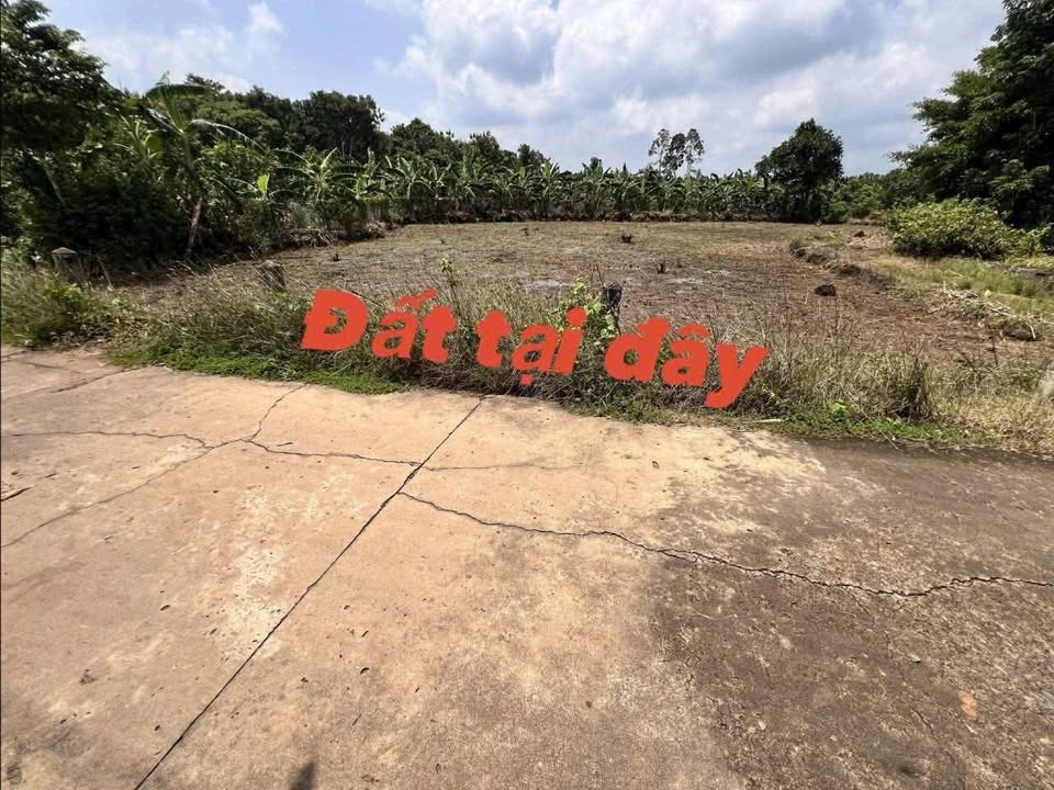 Đất nền Phú Vinh Định Quán 3600m² giá 399 triệu - Đầu tư sinh lời ngay!