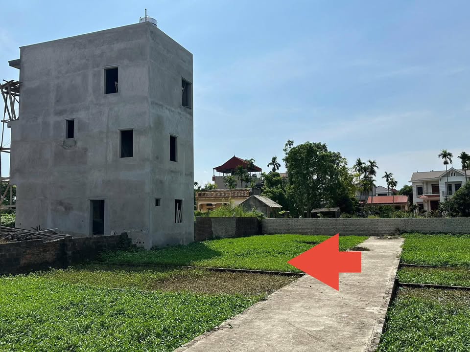 Đất Thọ Lộc Phúc Thọ 40m² giá 1.5 tỷ - Cơ hội đầu tư hấp dẫn!