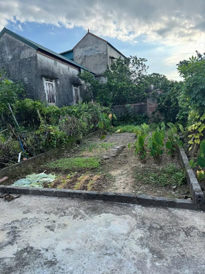 Đất nền xã Tri Trung, huyện Phú Xuyên 100m² giá 2 tỷ - Cơ hội đầu tư hấp dẫn!