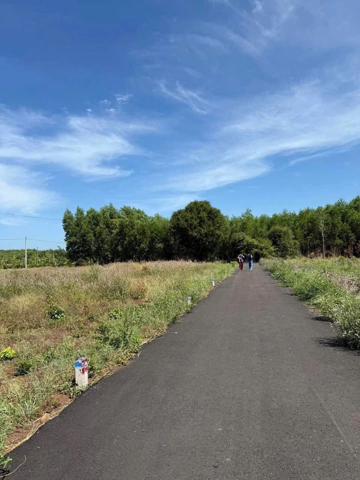 Đất nền Phước Long Thọ 171m² giá 540 triệu - Đầu tư sinh lời ngay!