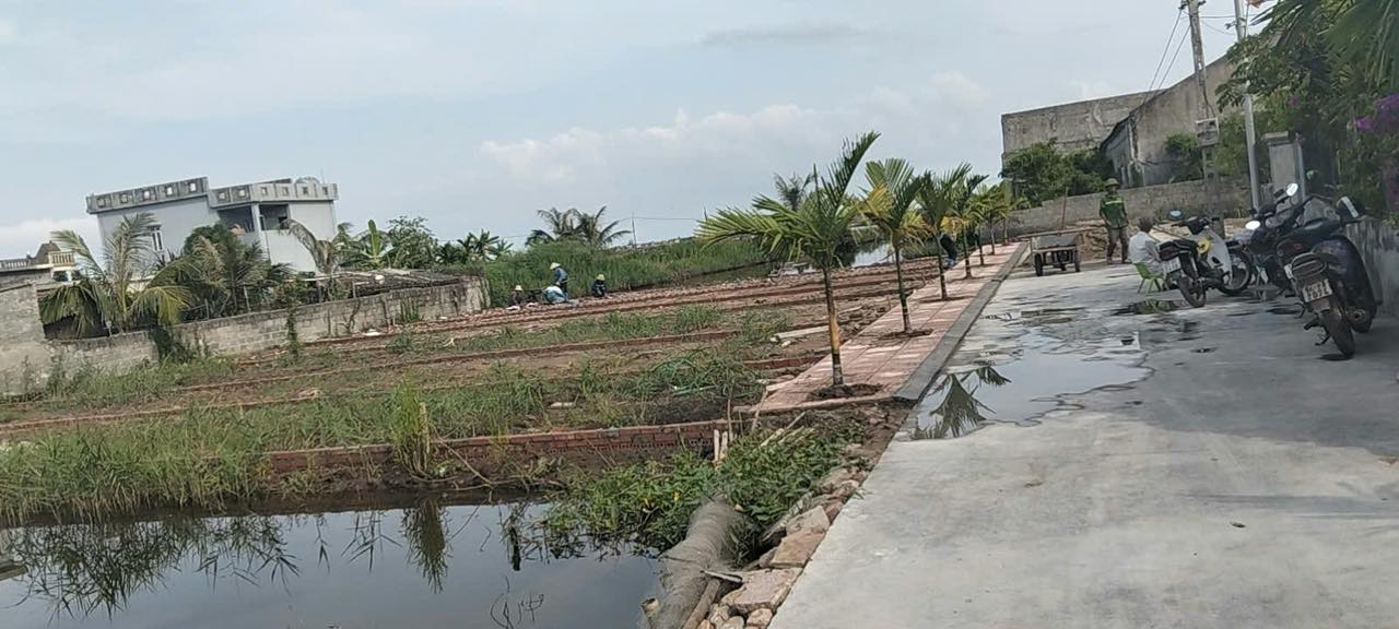 Đất nền tại xã Bạch Long, Giao Thủy 98m² - Giá chỉ 1.2 tỷ - Đường rộng ô tô tránh nhau!