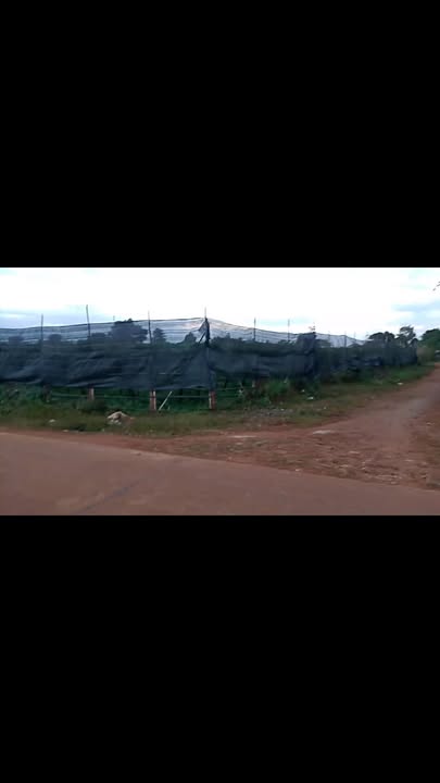 Lô đất 1505m² tại Biển Hồ, Pleiku - Giá rẻ, đầu tư lý tưởng!