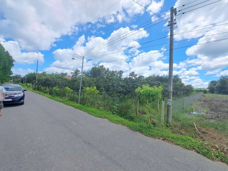 Đất nền Phú Lý Vĩnh Cửu 1000m² giá chỉ 1 tỷ - Cơ hội vàng cho nhà đầu tư!