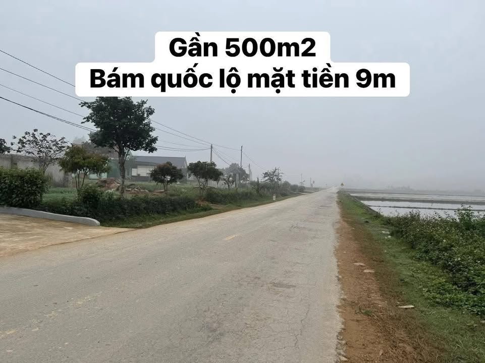 Đất nền Nghi Văn 500m² giá chỉ 2 tỷ - Cơ hội đầu tư tuyệt vời!