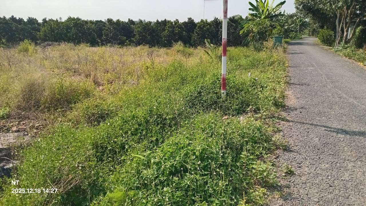 Đất nền Hòa Tịnh, Mang Thít, Vĩnh Long 120m² giá 300 triệu - Sổ đỏ chính chủ, mặt tiền nhựa 5 tấn!