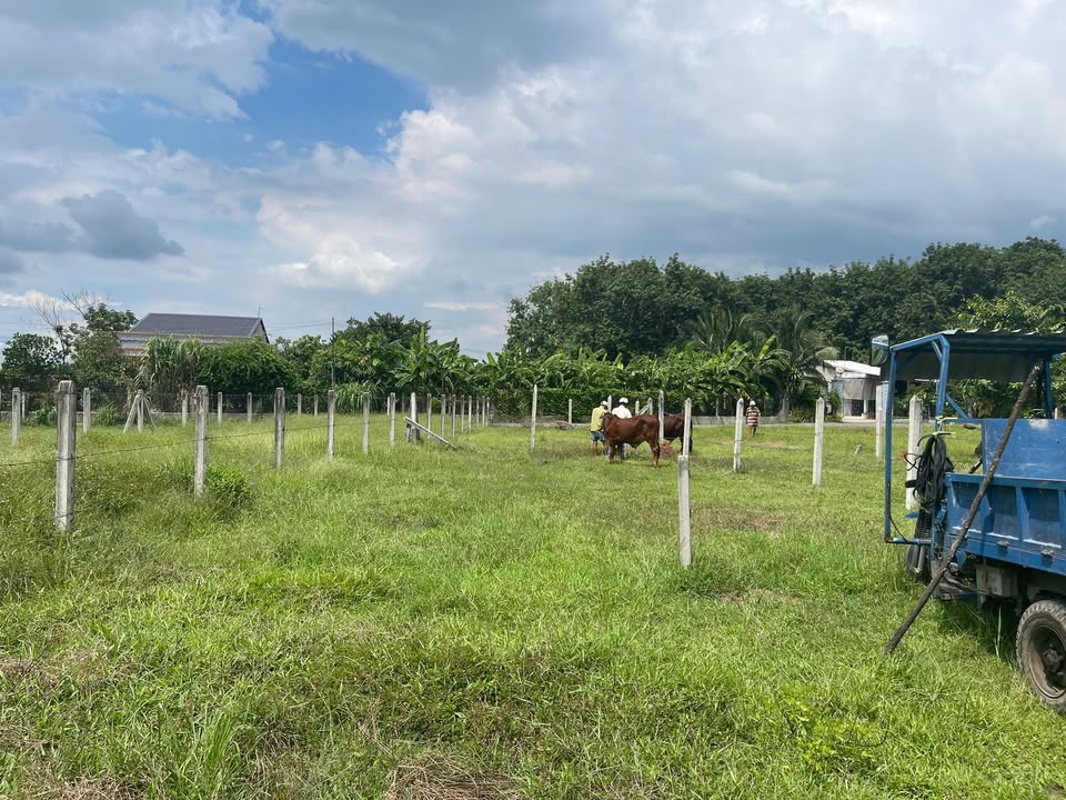 Đất mặt tiền Lộc Vĩnh, An Tịnh 115m² giá 645 triệu - Bán gấp, thổ cư sổ hồng!