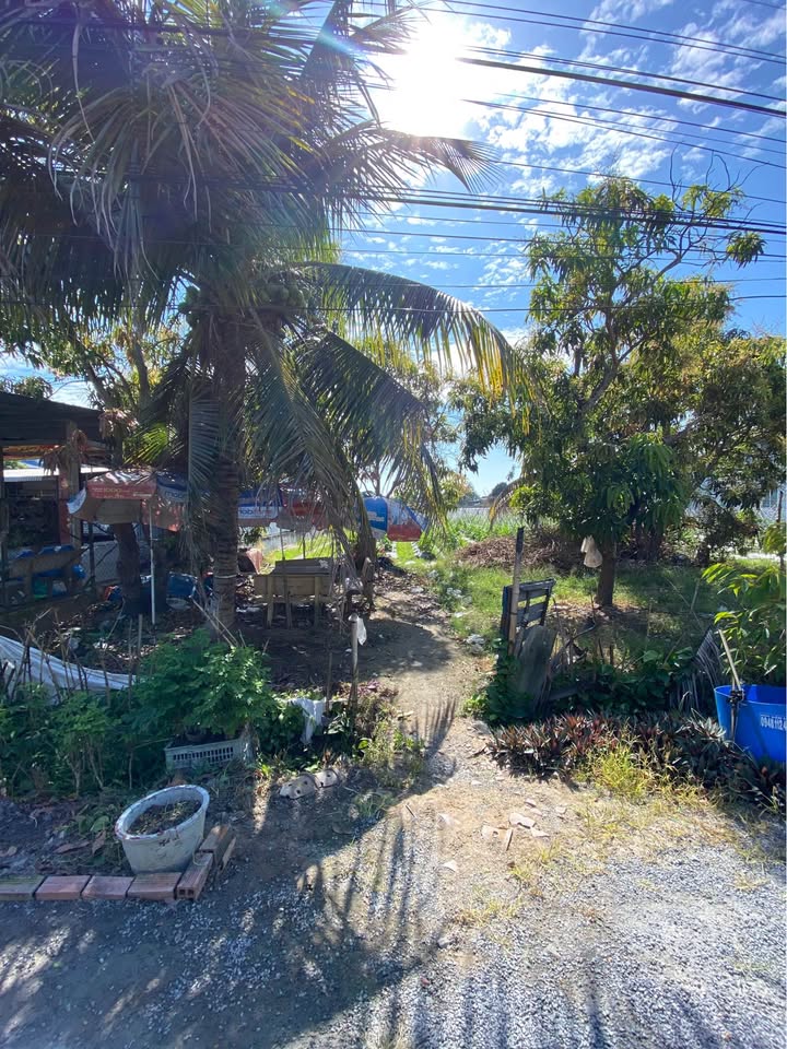 Đất thổ cư Trảng Bàng Tây Ninh 1425m² giá 4 tỷ - Nằm gần KCN An Tịnh